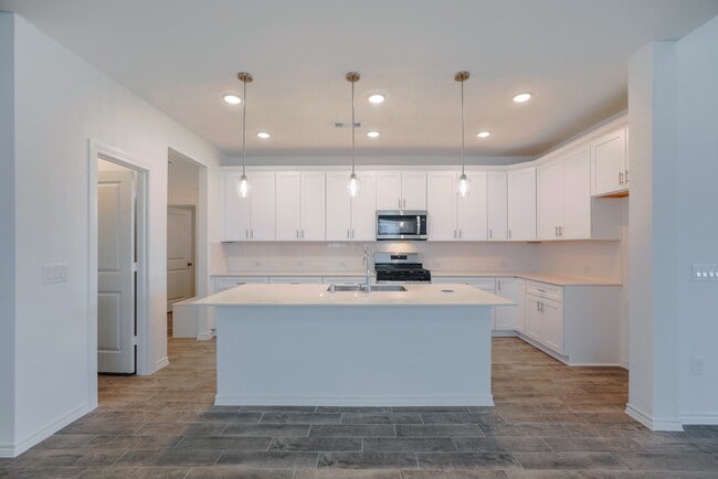 Building Photo - 15117 Wild Gully Wy