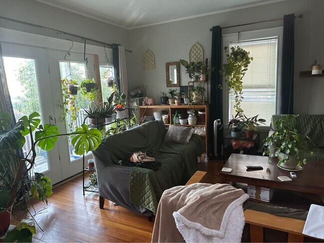 Building Photo - 64 Percival St