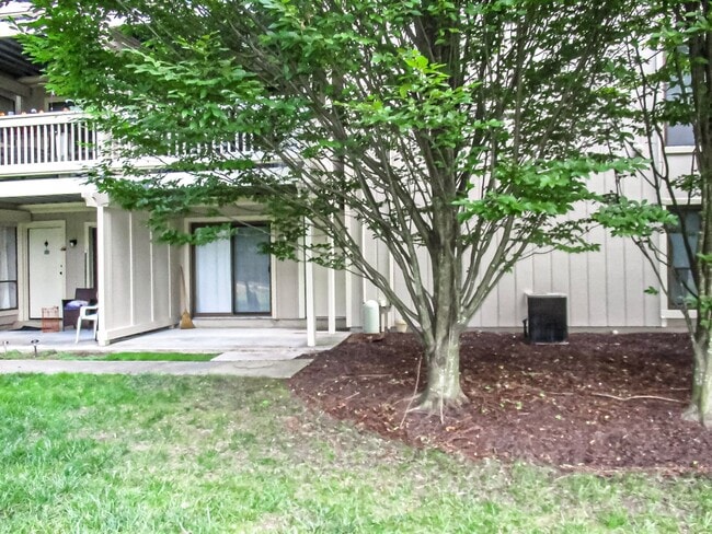 Primary Photo - Charming 2 Bed 1 Bath Apartment With Paved...