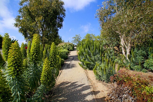 Building Photo - Gorgeous Contemporary Hilltop Laguna Beach...