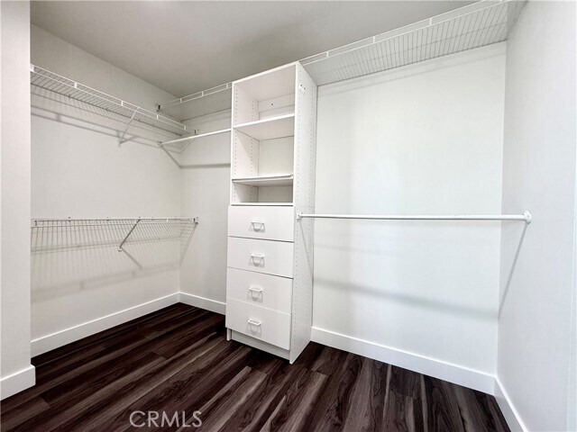 Building Photo - 937 S Nicole Way