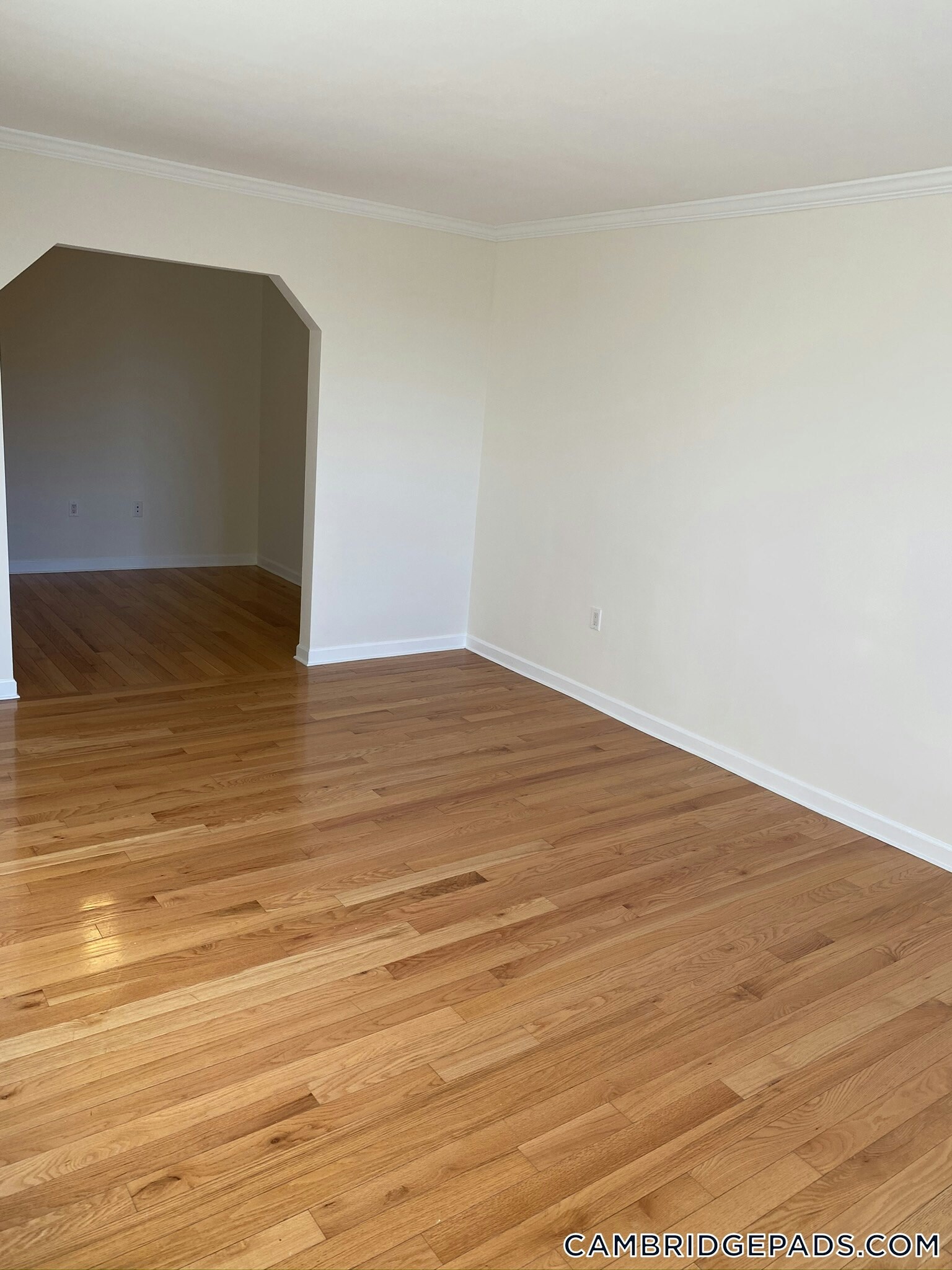 Building Photo - 60 Brattle St
