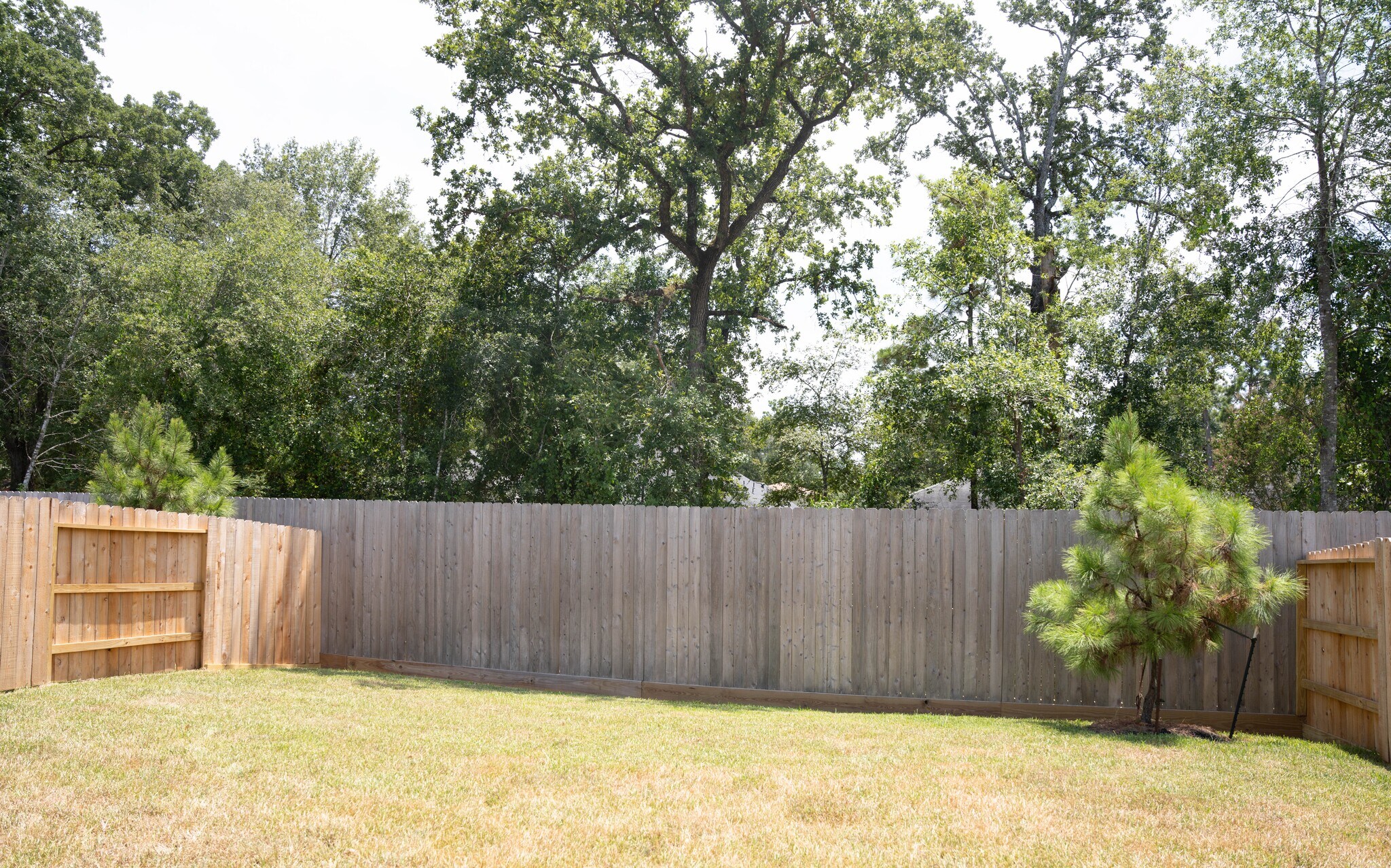 Building Photo - 3018 Mallorca Dr