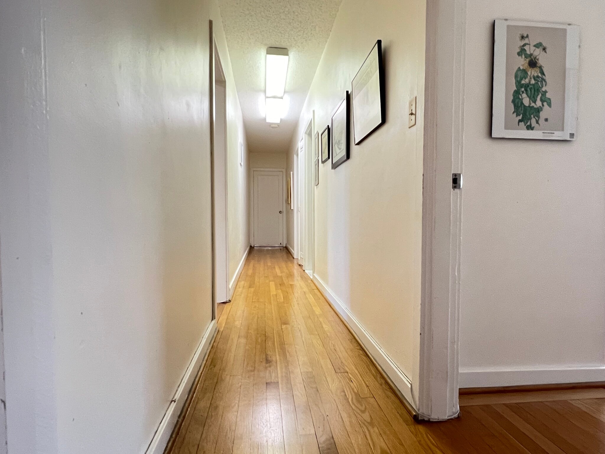 Hallway - 1014 Kapahulu Ave