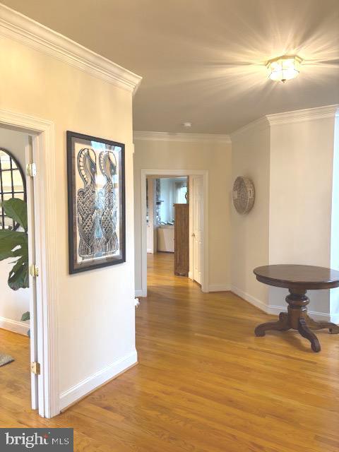 Building Photo - 5924 Chesterbrook Rd