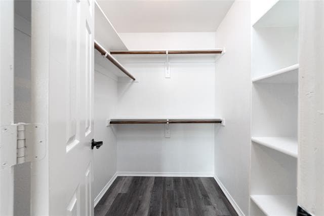 Building Photo - 8534 Bearden St