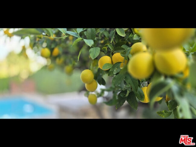 Building Photo - 4744 Haskell Ave