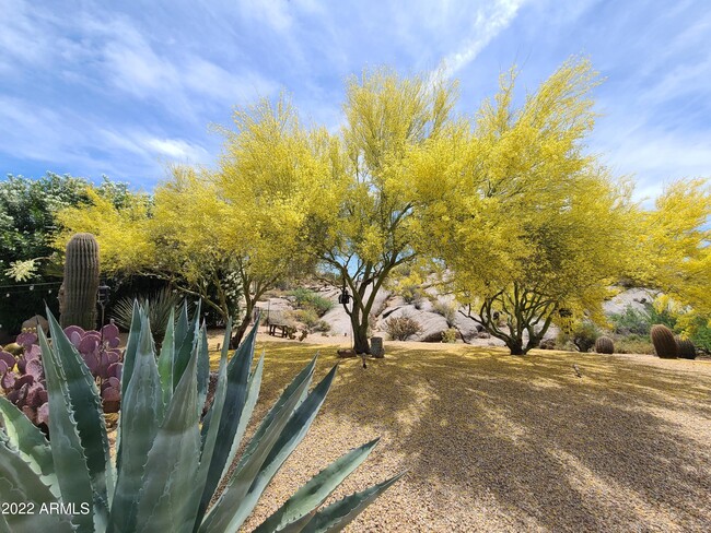 Building Photo - 1115 E Ocotillo Rd