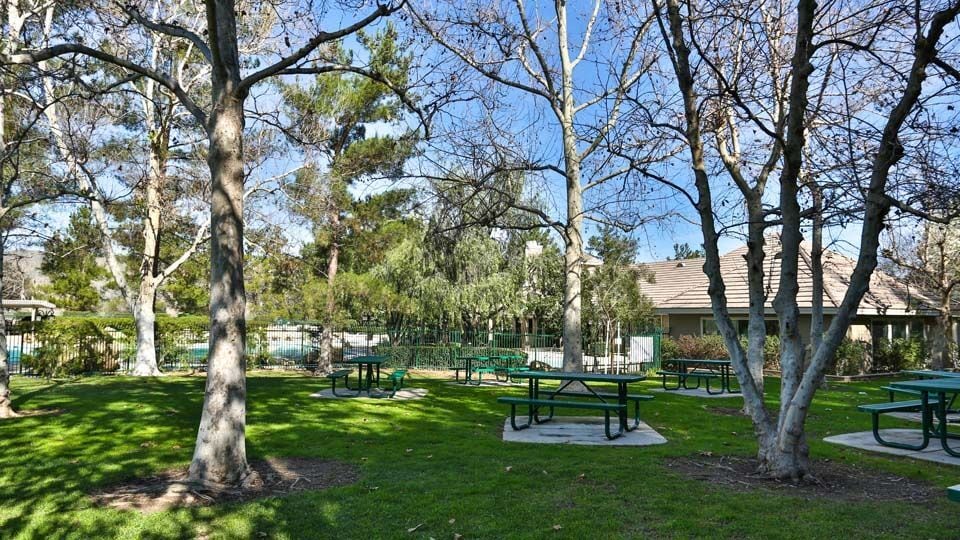 Picnic Areas - 27072 Calendula St