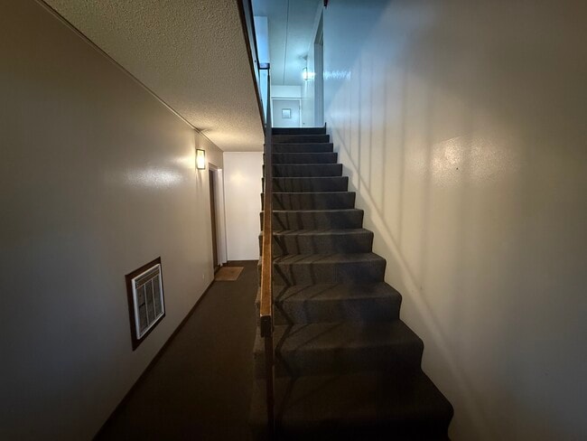 Building Photo - 259 Stoneybrook Ln