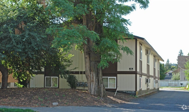 Primary Photo - Belamy Apartments