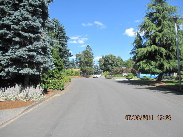 Building Photo - Mini Mansion in Salmon creek in mature nei...