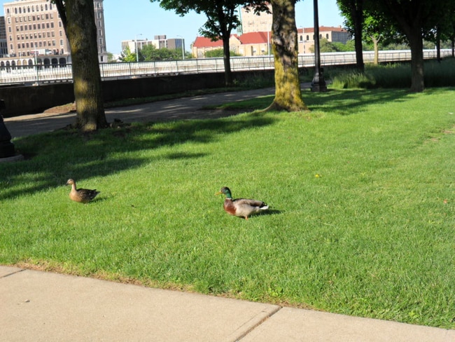 Building Photo - 22 Emmet St