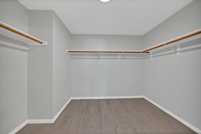 Building Photo - 1003 Ann Dr