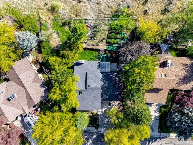 Building Photo - Cozy Hillside Boise Beauty Available 1/1/26!