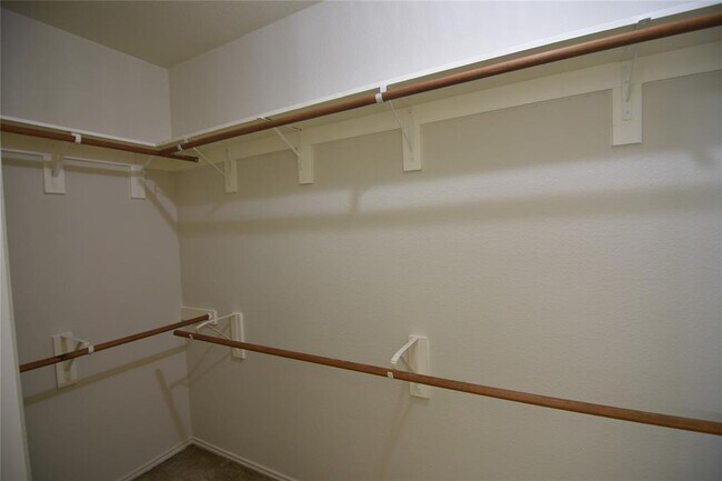 Building Photo - 2413 Rachel Ct