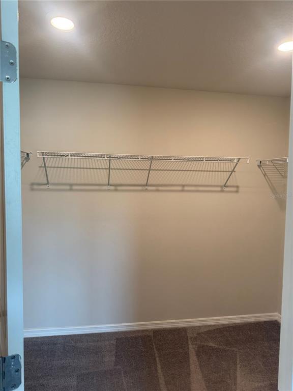 Building Photo - 1042 Michelangelo Ln