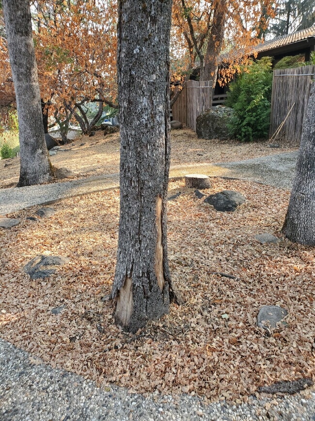 Building Photo - Comfortable 2-Bedroom Home in Lake Wildwood