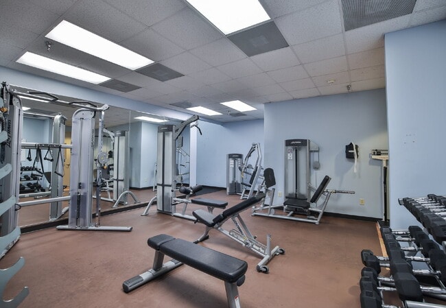 Building Photo - 345 Bayshore Blvd