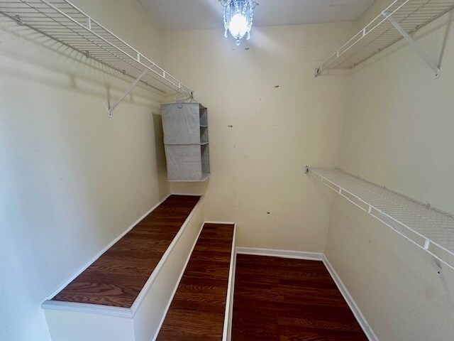 Building Photo - 312 Bunker Hill Cir