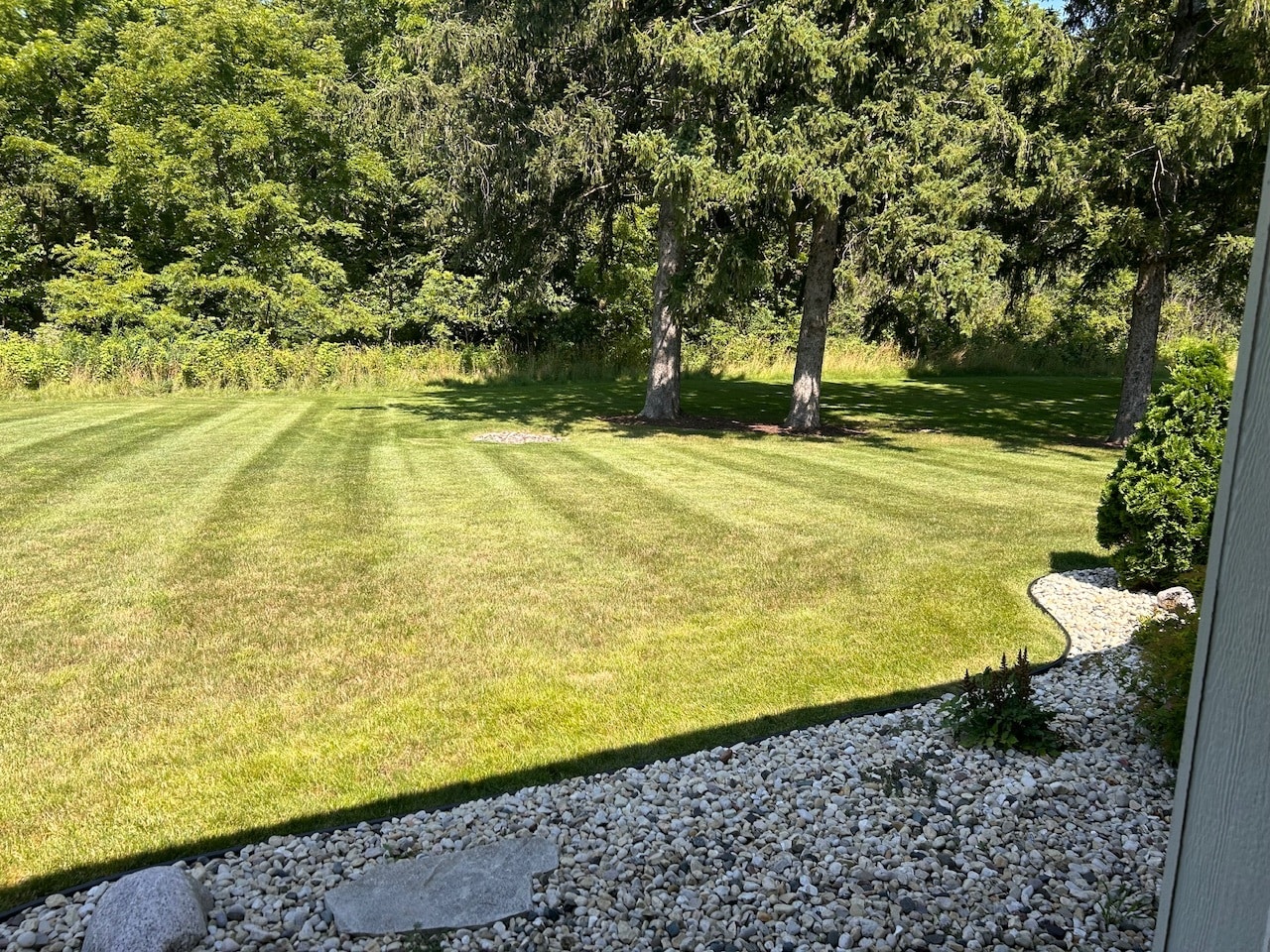 Yard - 1051 Spring Brook Dr