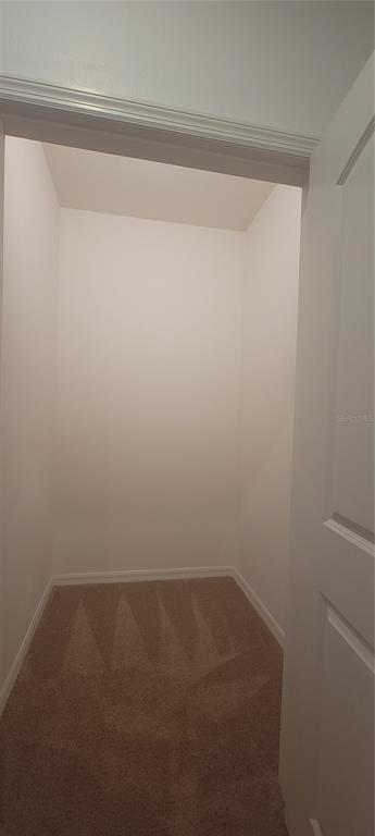 Building Photo - 5520 Angel Fish Ct