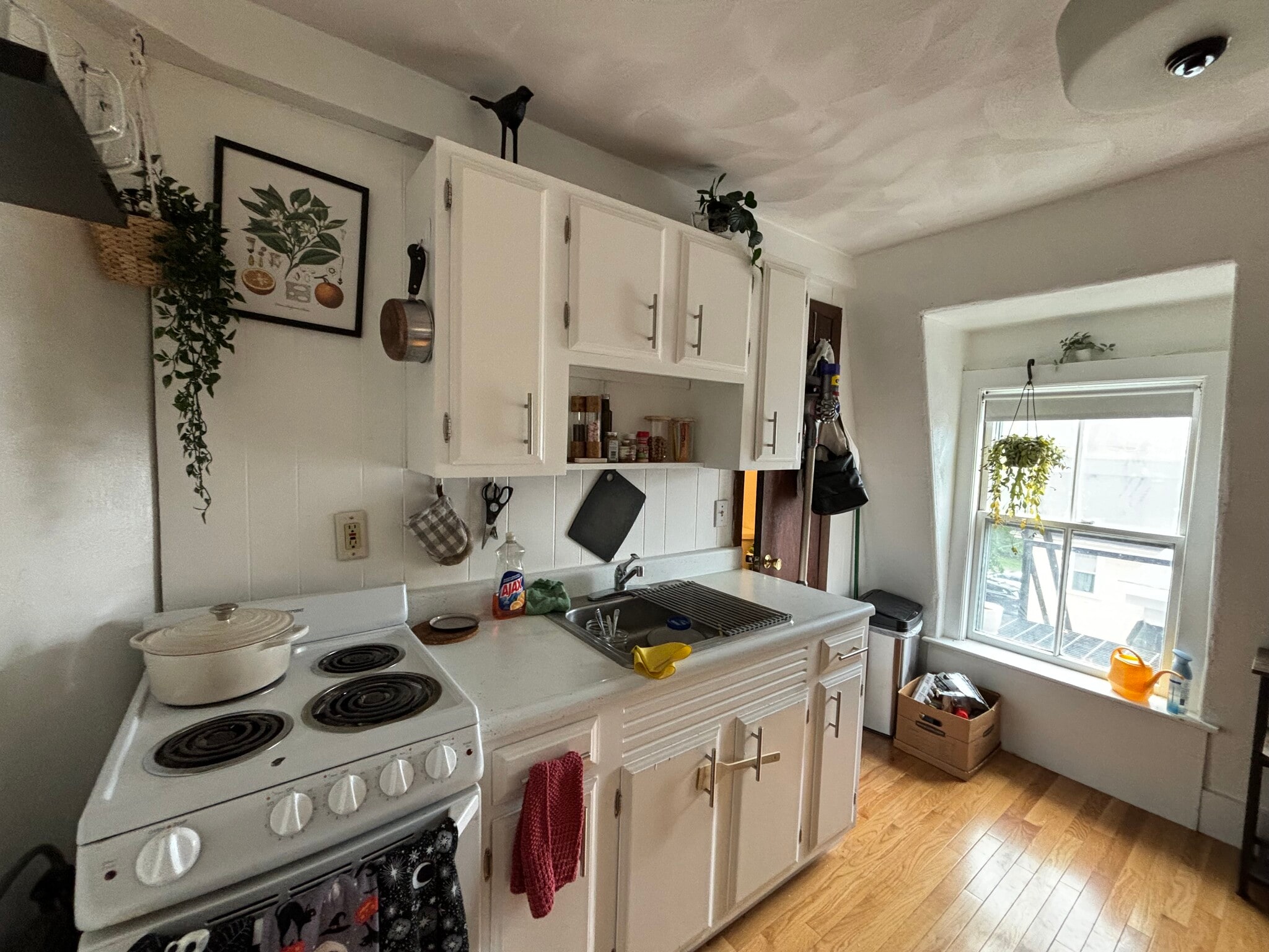 Building Photo - 219 Washington St