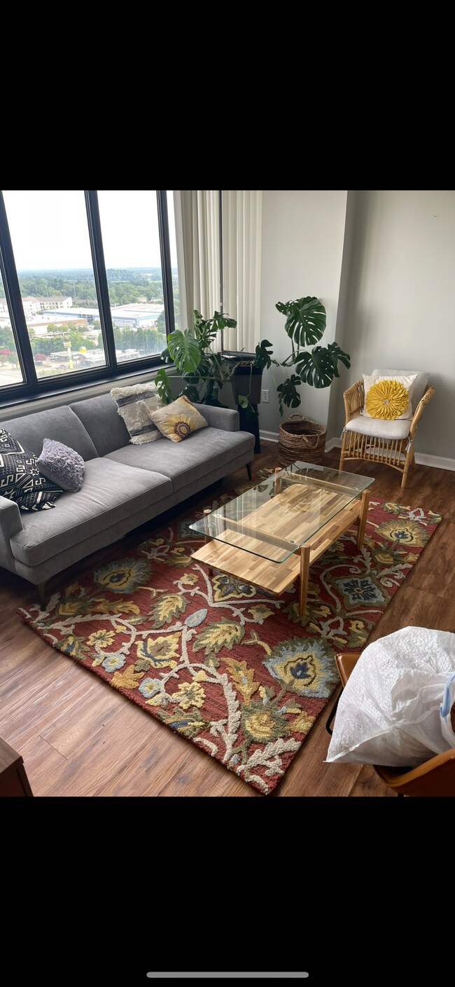 New area rug and coffee table - 1100 Wheat St