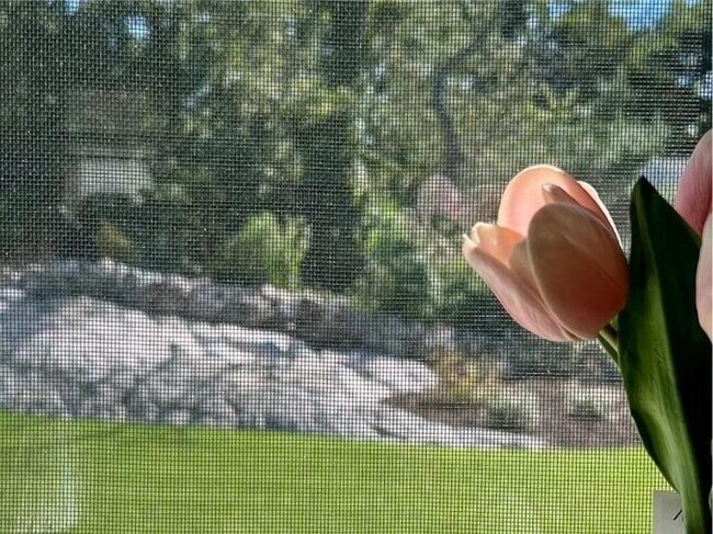 Building Photo - 14 Summer St