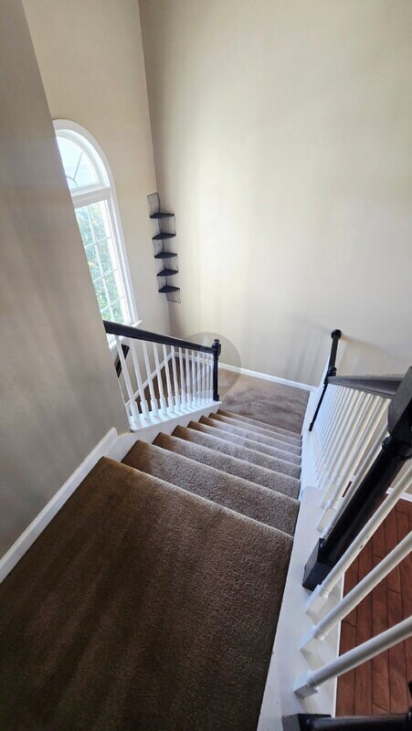 Building Photo - 203 Elmbrook Ln