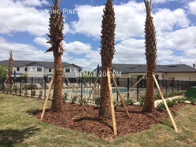 Building Photo - 11409 Whistling Pine Way