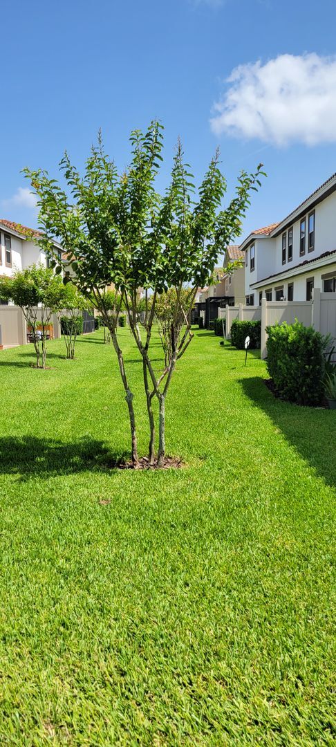 Building Photo - Townhouse in Eagle Creek Gated Community, Lake Nona