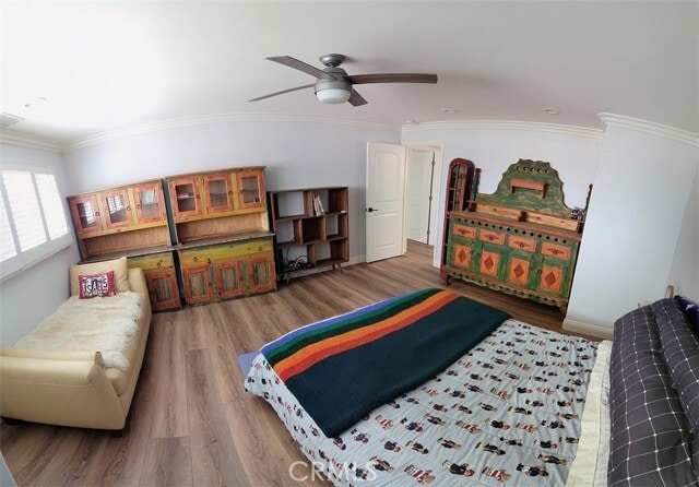 Building Photo - 4809 Calle Sonora Oeste