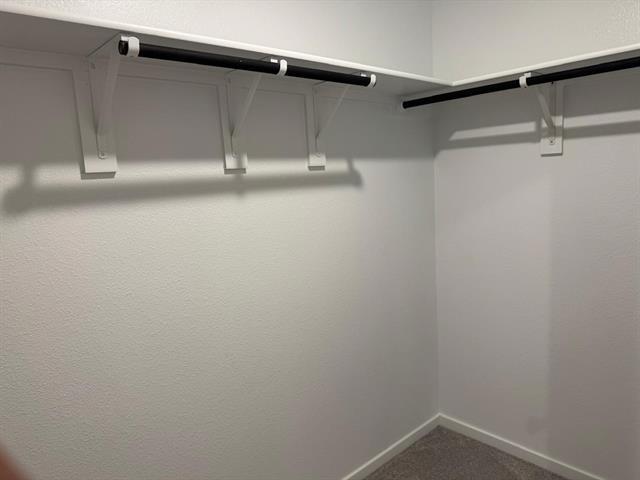 Building Photo - 3116 Burmese St