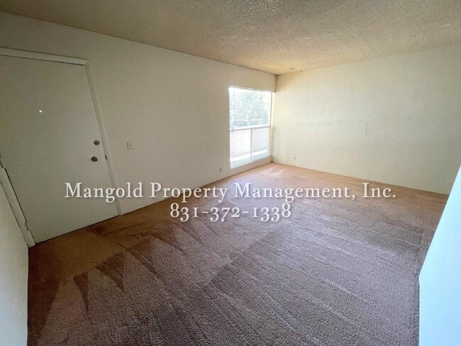 Building Photo - Beautiful Condo Located At Ocean Forest Condominiums - ALL UTILITIES INCLUDED- Access to Pool, Sa...