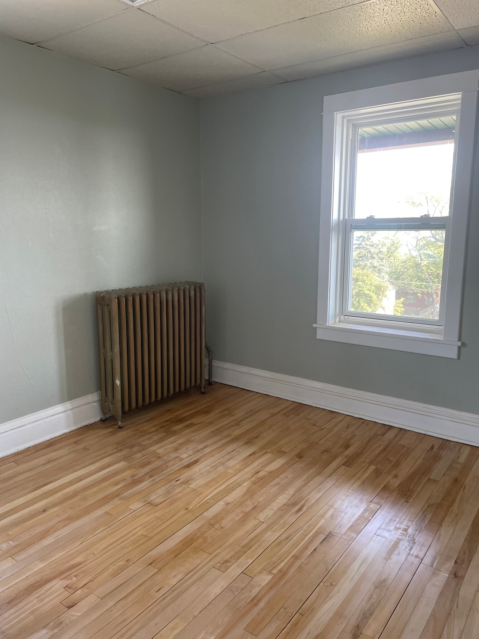 Back bedroom - 432 E 7th St