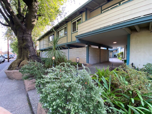 Building Photo - 917 San Anselmo Ave