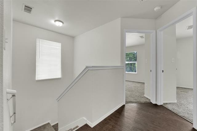 Building Photo - 338 Castleridge Dr