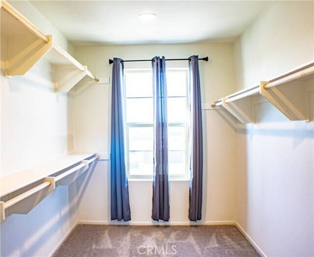 Building Photo - 1463 Babbling Brook Pl