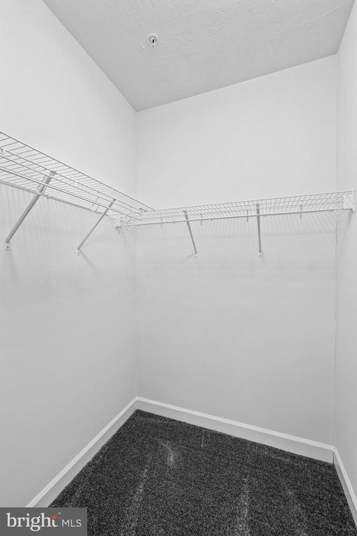 Building Photo - 4107 Rowen Ct