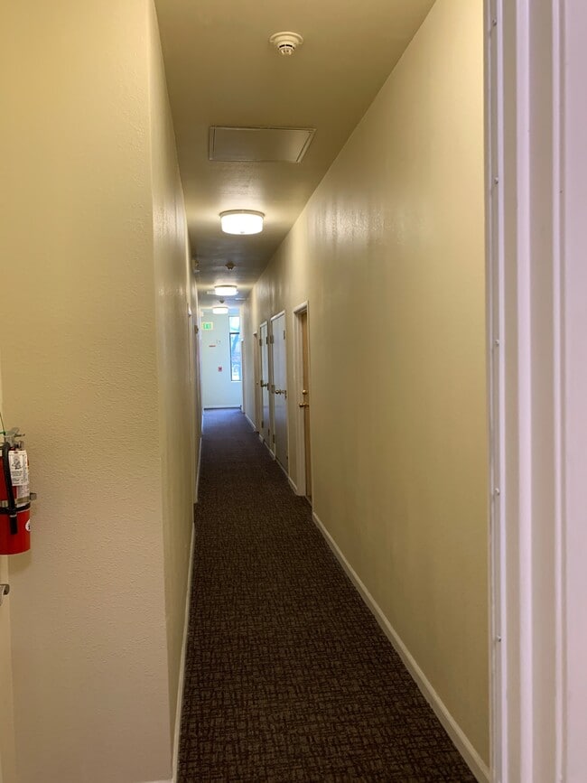 Building Photo - CHINATOWN - Renovated Studio Apartment (1 ...