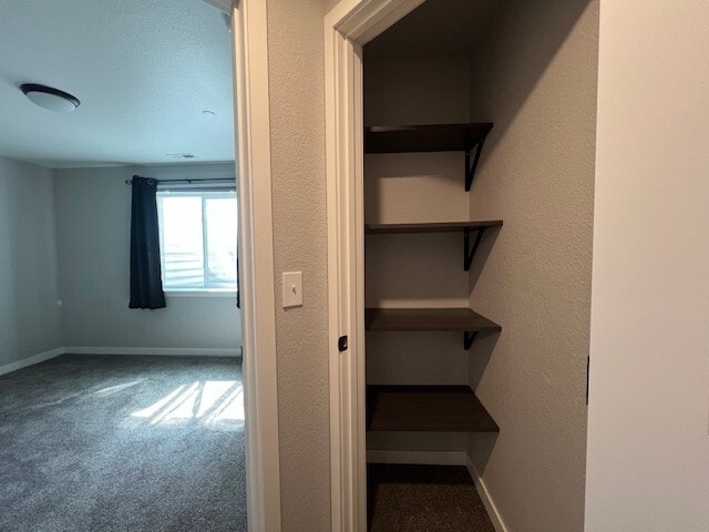 Building Photo - 1251 Chet St