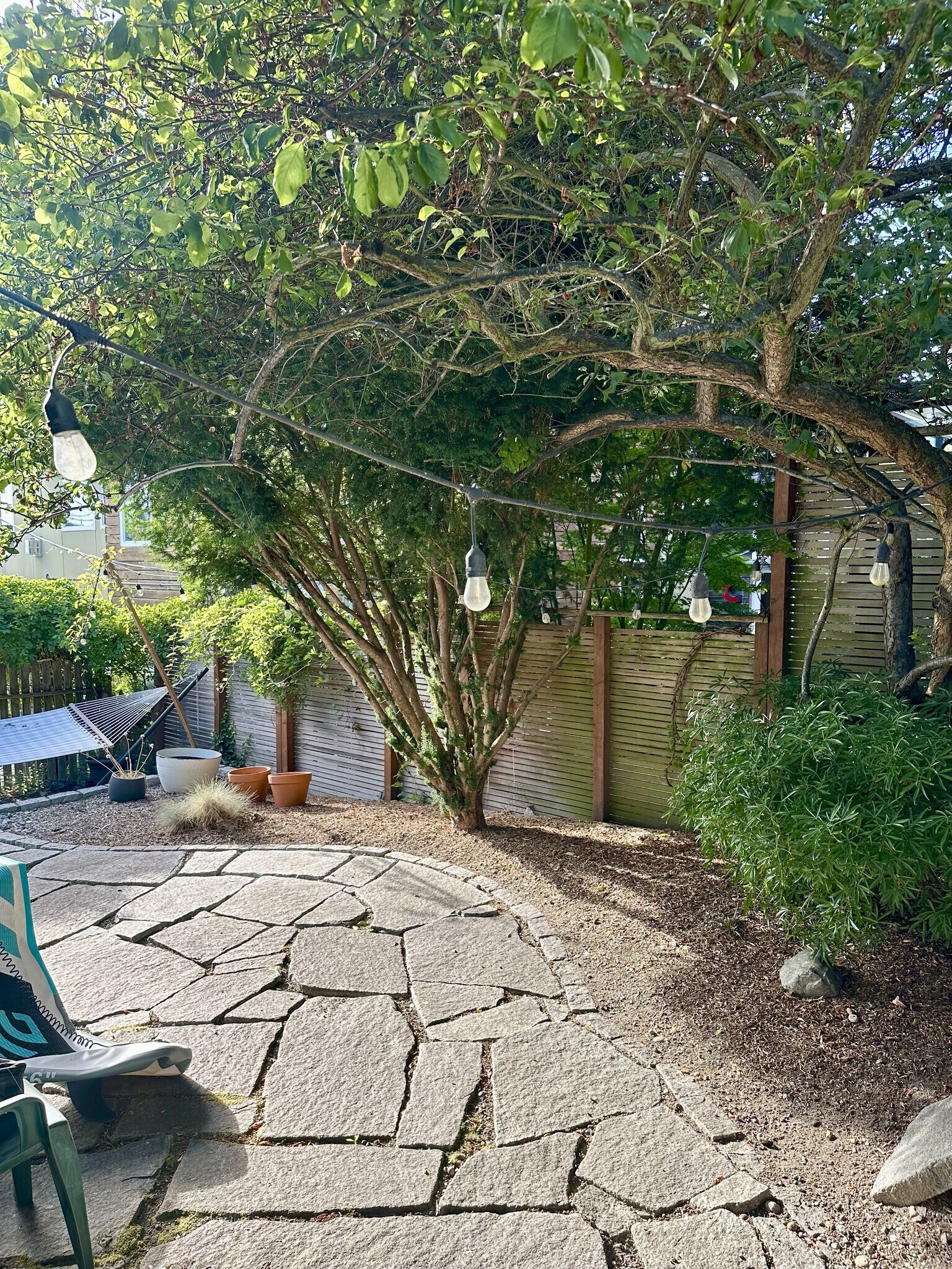 Backyard - 906 W Howe St