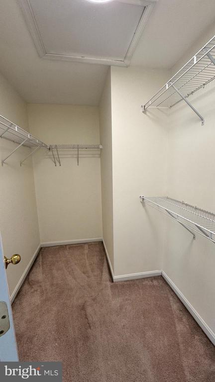 Building Photo - 9611 Normanton Way