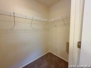 Building Photo - 10247 Huisache Field
