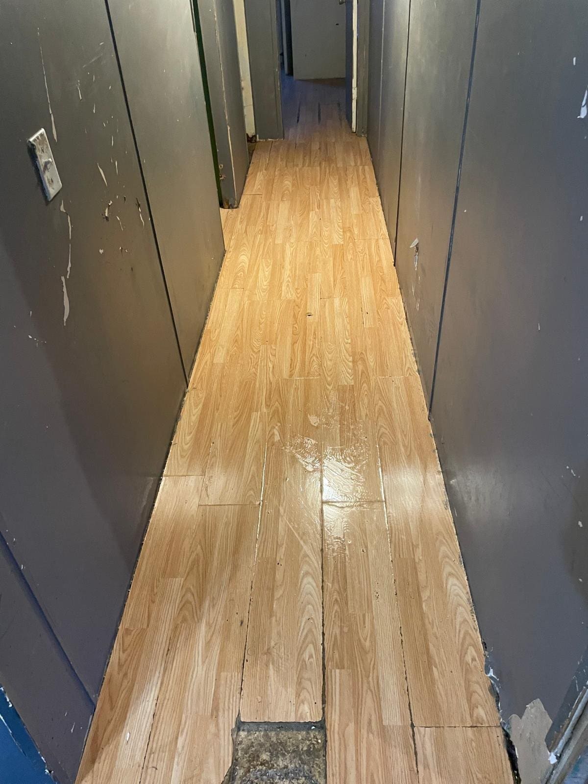 Building Photo - 8105 Moonmist Cir