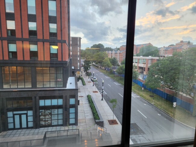 View of College Ave from Living Room - 500 E College Ave