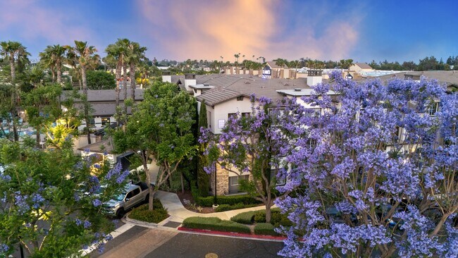 Building Photo - The Grove Apartments
