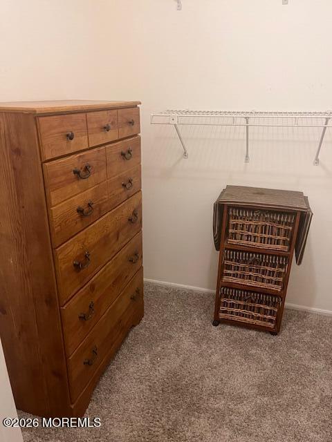 Building Photo - 2205 Alpine Trail