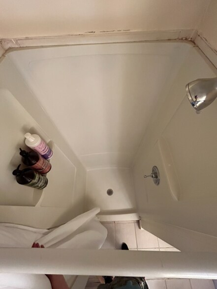 Building Photo - 718 N Cayuga St